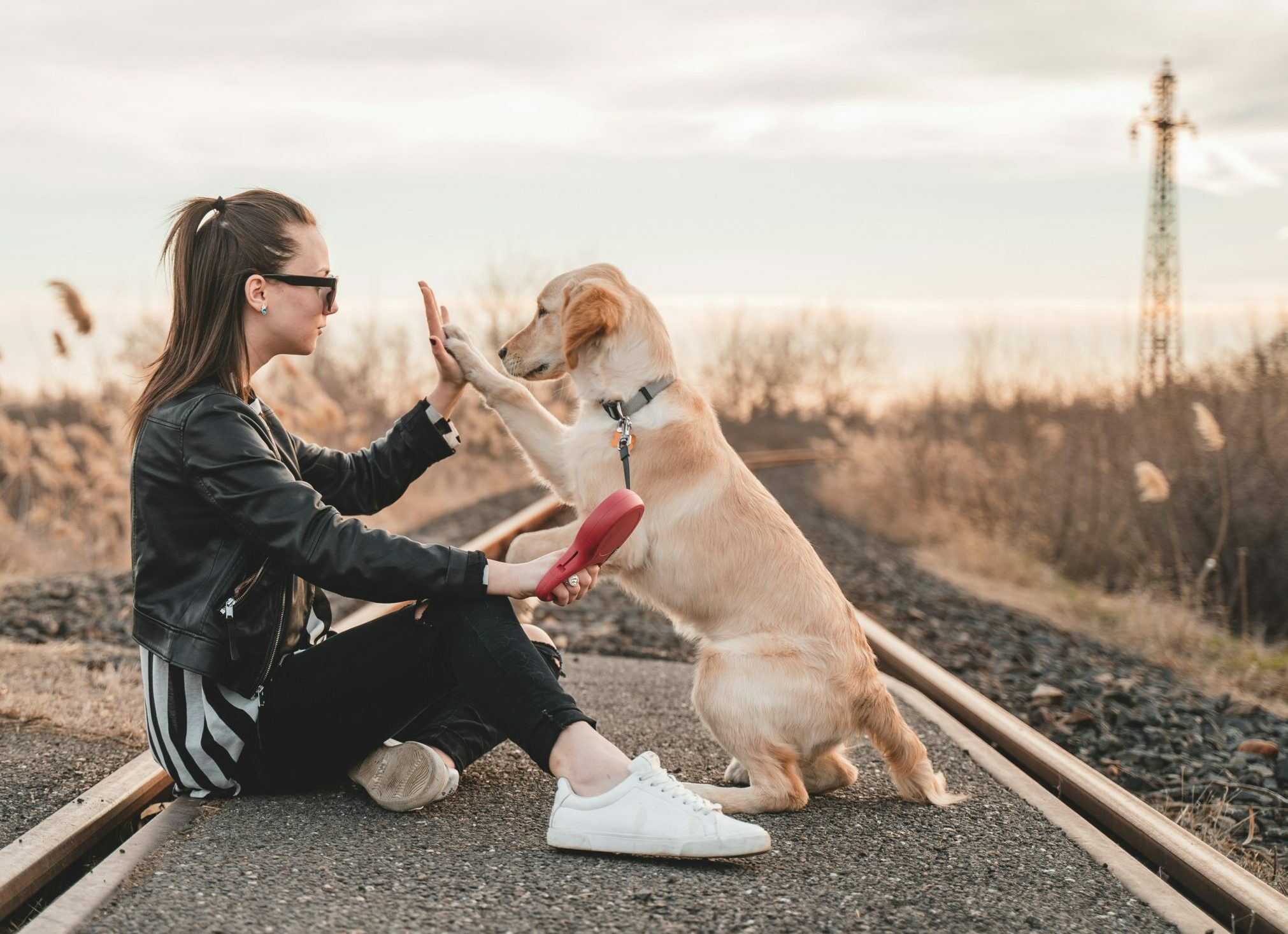 Κάνοντας αυτά τα 4 πράγματα μπορείτε να βελτιώσετε τη συμπεριφορά του σκύλου σας